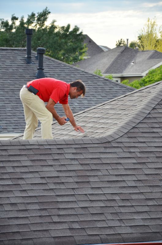 Preventive Shingle Maintenance